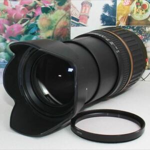 １本で近遠対応の神レンズタムロン 18-200mm ソニーaマウント用