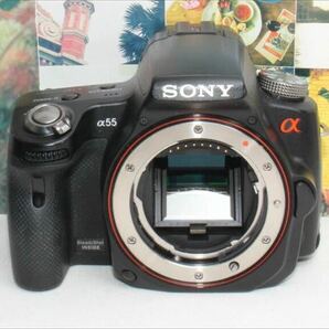 その一瞬を一生の思い出にSONY SLT-A55 トリプルレンズの画像3