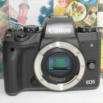 予備バッテリー付きCanon EOS M5 超望遠ダブルレンズセット_画像3