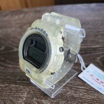 カシオ CASIO Gショック G-SHOCK イルカクジラ アイサーチ DW-6910K-8BK 中古美品_画像2