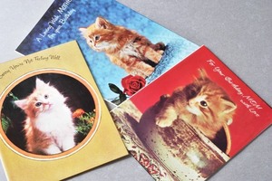 ●可愛い猫のカード　長毛種（茶トラ）