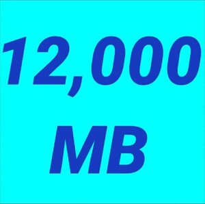 mineo マイネオ パケットギフト 約12GB 12000MB 匿名 迅速 数分対応可能 数量限定 