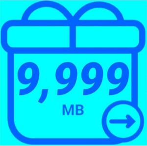 mineo マイネオ パケットギフト 約10GB 9999MB 匿名 迅速対応 数量限定