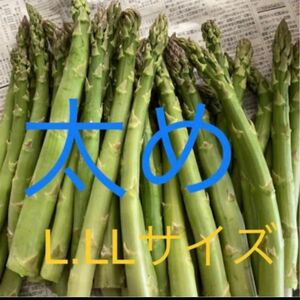 アスパラ　太500g