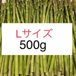 アスパラ　500g Lサイズ