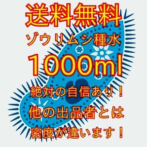 史上最強★絶対の自信あり★密度が違います★簡単培養ゾウリムシ1000ml★ペットボトルで爆殖中★