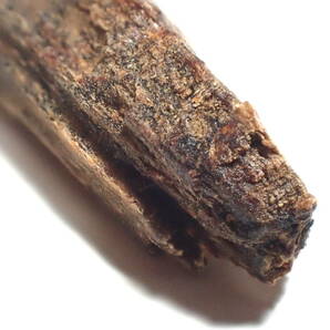 伊達家伝来 名香「京極」 0.315g 古代名香 香木 香道 沈香 香道具 伽羅の画像8