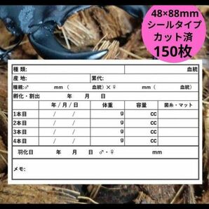 【期間限定SALE】2540円→2390円 幼虫管理ラベル クワガタ カブトムシ シール カット済 150枚