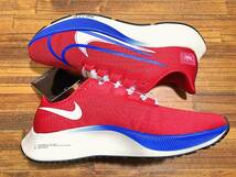 未使用 ※タバコ臭あり NIKE AIR ZOOM ペガサス37 27.5cm 管CARR_画像5