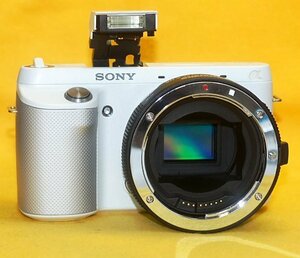 ★一発即決★訳あり★ジャンク品扱い★SONY NEX-F3★おまけレンズ等付★最新ファームウェアに更新済です★ミラーレス★