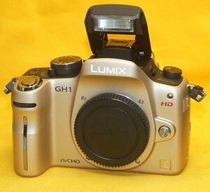 ★一発即決★Panasonic「LUMIX DMC-GH1」ゴールド★予備バッテリー付★最新ファームウェアに更新済です★ミラーレス★