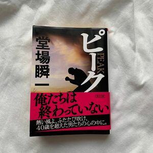 ピーク （朝日文庫　ど１２－３） 堂場瞬一／著文庫本