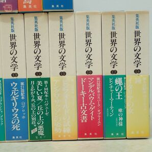 集英社版 世界の文学 全38巻揃中の計37冊セット(第36巻欠) 月報付多数 1976年〜1979年発行 函入 帯付【AAの画像4