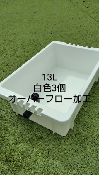 メダカ容器　13L　白色　3個　オーバーフロー加工