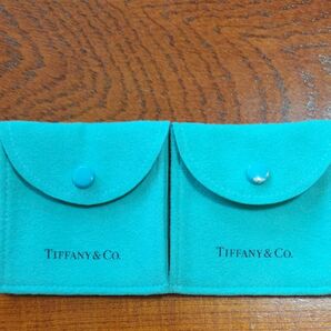 TIFFANY Co 保存袋