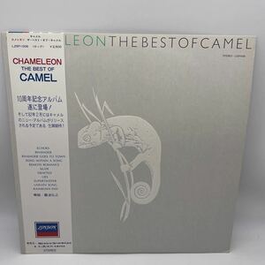 【帯付】キャメル/Camel/Chameleon The Best of Camel/レコード/LP/プログレ/