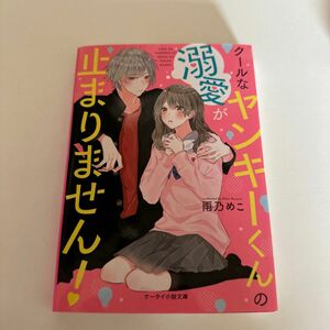 クールなヤンキーくんの溺愛が止まりません！ （ケータイ小説文庫　あ２１－３　野いちご） 雨乃めこ／著