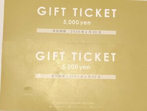 ★ポジティブドリームパーソンズ　ギフトチケット　5,000円　2枚セット　10,000円分　2024/6/30まで★