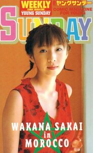 ★酒井若菜　週刊ヤングサンデー　微擦れ有★テレカ５０度数未使用ps_155