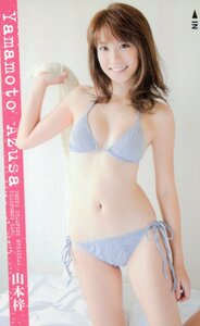 ★山本梓　ヤングチャンピオン★テレカ５０度数未使用oo_55s25