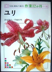 NHK hobby. gardening * work 12. month 18 lily * Shimizu basis Hara flat castle . Akira 