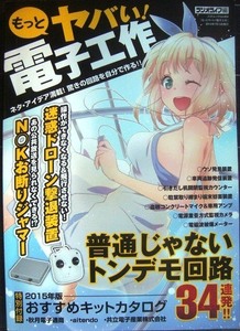 もっとヤバい! 電子工作 普通じゃないトンデモ回路34連発★ラジオライフ編★三才ムックvol.804