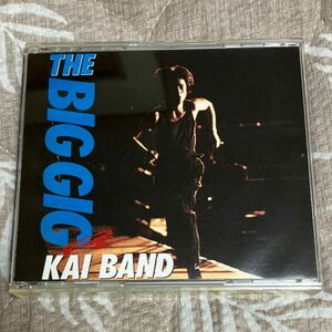 甲斐バンド　 THE BIG GIG 2枚組　CD