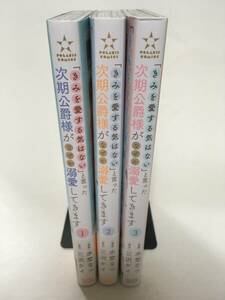 「きみを愛する気はない」と言った次期公爵様がなぜか溺愛してきます　①～③　水埜なつ　4276589②