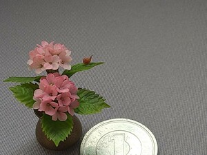 mame purple . flower hydrangea pink ..katatsumli miniature the first summer legume pot doll house silver nia Licca-chan Lee men to