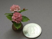 mame　紫陽花　アジサイ　ピンク　濃淡　カタツムリ　ミニチュア　初夏　豆鉢　ドールハウス　シルバニア　リカちゃん リーメント_画像4