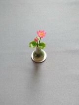 mame　ミニチュア　蓮　ハス　Lotus　濃いピンク　樹脂粘土 リカちゃん　シルバニア　リーメント_画像2