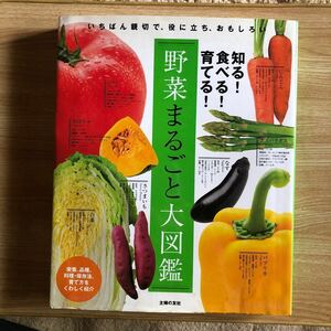 野菜まるごと大図鑑　主婦の友社　2011年初刷　レターパックライト発送