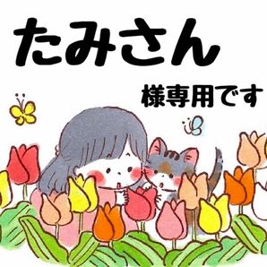 たみさん様　専用です