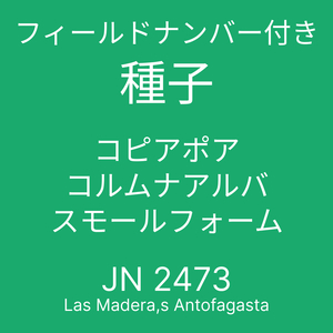 フィールドナンバー付き種子 10粒 コピアポア・コルムナアルバ スモールフォーム JN2473