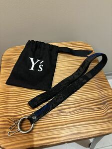 Y's