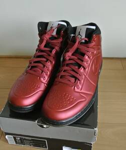 NIKE AIR JORDAN 1 ANODIZED 28.5cm