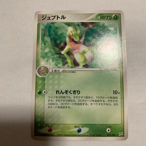 ポケモンカードADV ジュプトル ★ノーマル マグマ団VSアクア団 ふたつの野望