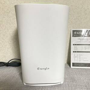 新生活応援価格！！ 電動チリトリe angle ステーションクリーナー