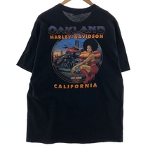 古着 ハーレーダビッドソン Harley-Davidson バックプリント モーターサイクル バイクTシャツ メンズXL /eaa390134_画像2