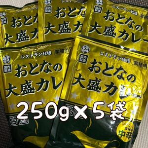 レトルトカレーおとなの大盛りカレー中辛250g5袋