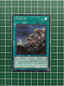 ★遊戯王 QUARTER CENTURY CHRONICLE side:UNITY #QCCU-JP197 同胞の絆 シークレットレア「SE」★