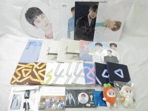 【同梱可】中古品 韓流 SEVENTEEN YOU MADE MY DAWN An Ode CD 等 グッズセット