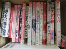 【まとめ売り】動作未確 雑貨 ミルモでポン! ポケモン 風と木の詩 鋼の錬金術師 漫画 コミック 等 グッズセット_画像3