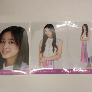 【同梱可】中古品 アイドル 乃木坂46 井上和 のみ 生写真 2コンプ セミ含む 12枚 絶望の一秒前 等 グッズセットの画像2