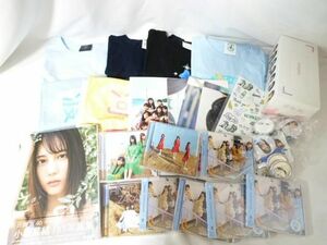 [ including in a package possible ] secondhand goods idol Hyuga city slope 46 zelkova slope 46. slope 46 small slope .. river rice field .. other photoalbum T-shirt size L/XL muffler towel 