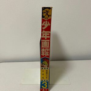 「少年画報1967年3月号」手塚治虫マグマ大使サイクロップス編第1話 日本怪獣大百科 バットマン 怪獣王子 藤子不二雄 昭和42年の画像3