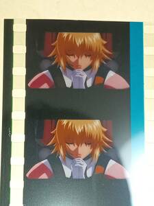 [ka gully as Ran ..] Mobile Suit Gundam SEED FREEDOM 12 week go in place person privilege koma film movie theater version Gundam si-do