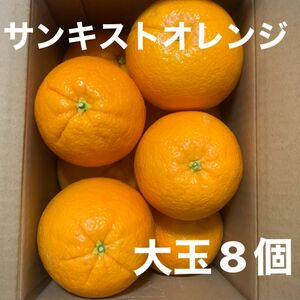 サンキスト　ネーブルオレンジ　８玉　アメリカ　コストコ　フルーツ　果物　食品　甘い　ハズレなし　柑橘　