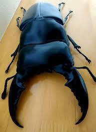 ヒラタクワガタ　MEGA　フィギュア　昆虫　ヒラタ　クワガタムシ　大きい　BIG　生き物　自然　虫　特大　クワガタ