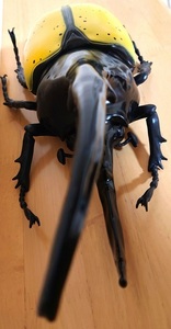ヘラクレスオオカブト　昆虫　フィギュア　MEGA　大きい　BIG　カブトムシ ヘラクレス　巨大　虫　特大　即決！